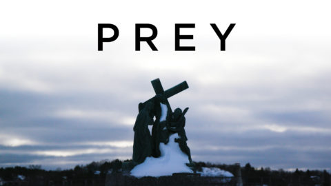 Title Card for Prey a film by Matt Gallagher.